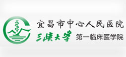 湖北省宜昌市中心人民医院