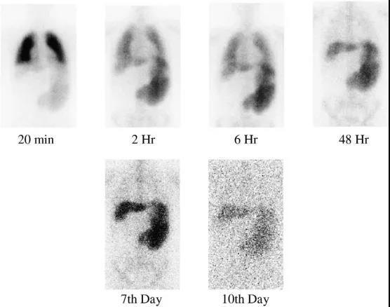 微信图片_20200413155903