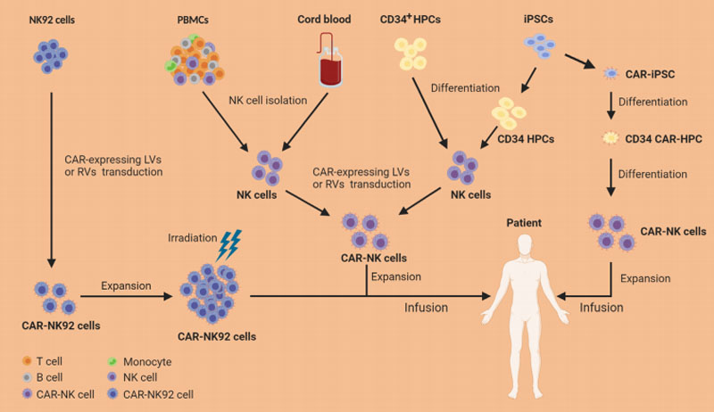 新利体育平台首页登录入口