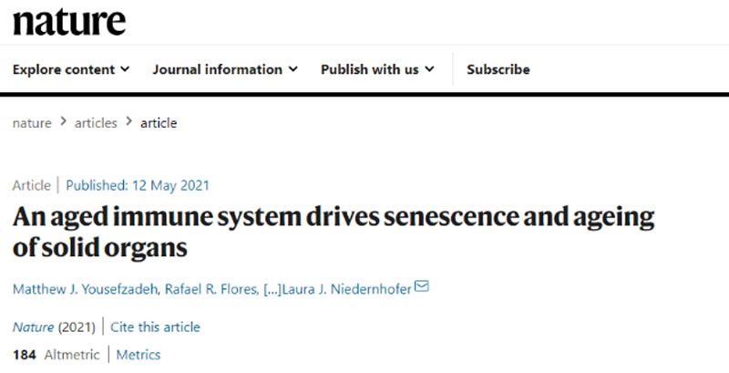 新利体育平台首页登录入口