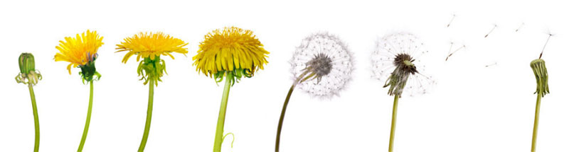 新利体育平台首页登录入口