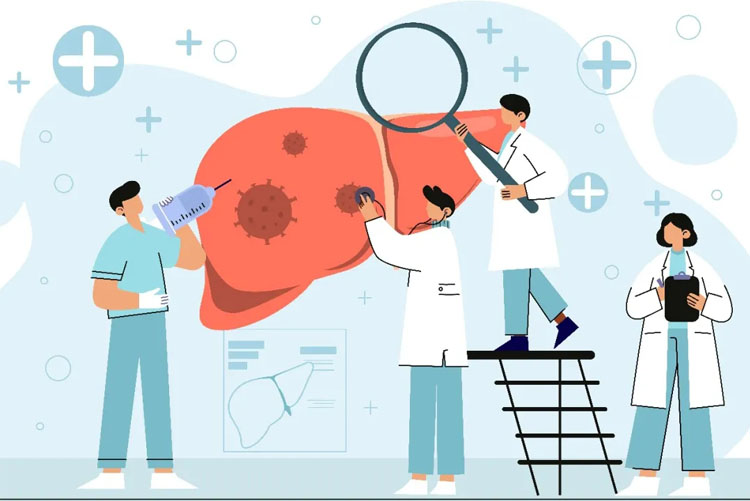 自体脂肪干细胞储存